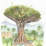 El Drago Milenario: Reference Photo, Sketch & Watercolor