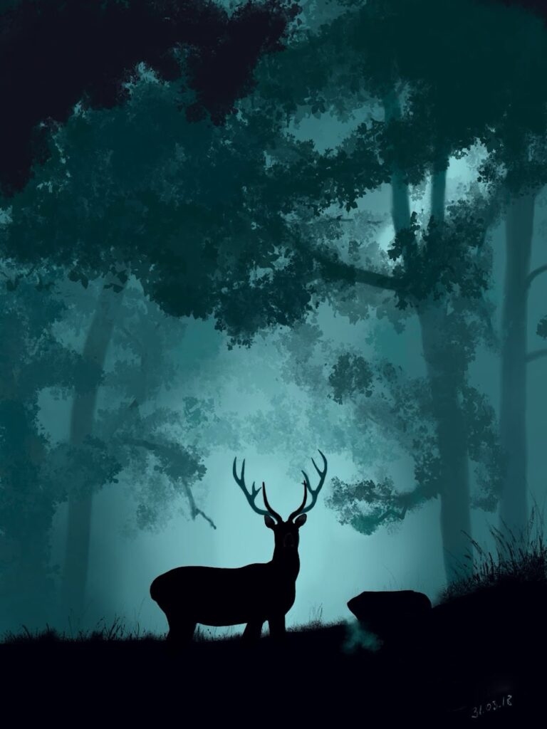 Deer Procreate